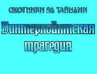 Прохождение игры Охотники за тайнами 9: Винтерпойнтская трагедия 